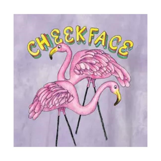 Cheekface Merch Store Flamingo Hooded Sweatshirt